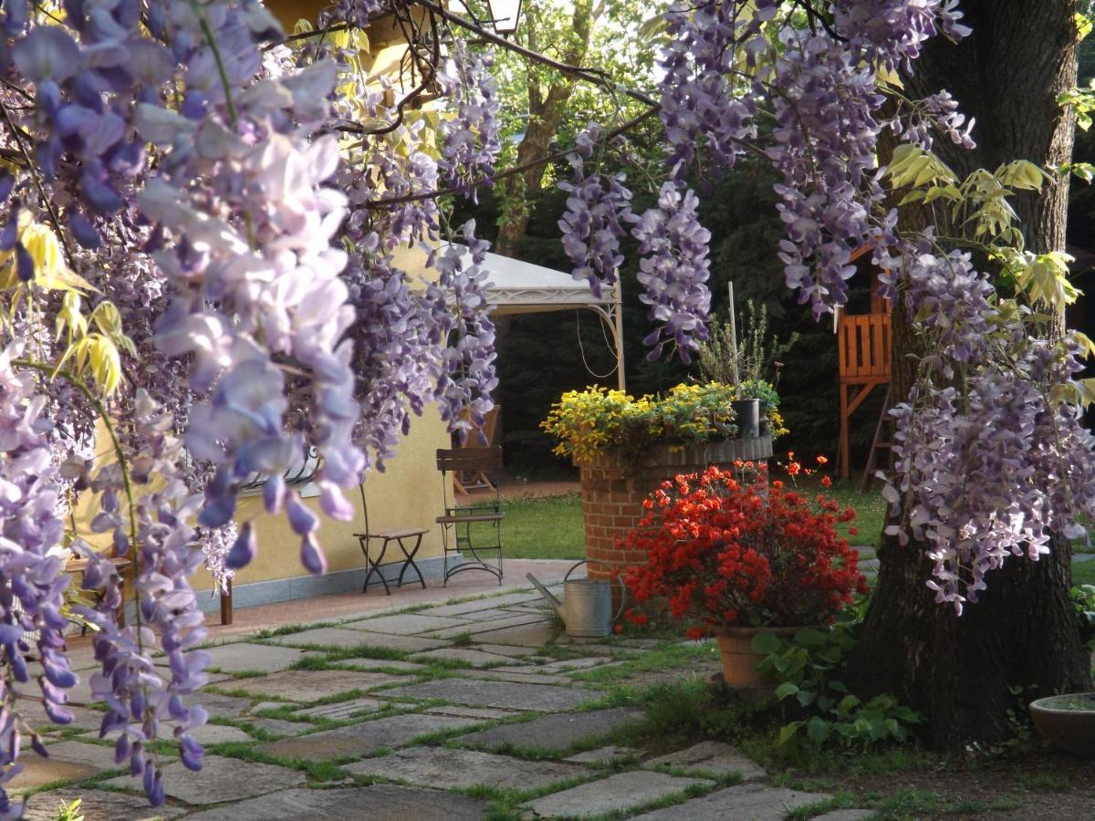 Villa Mirano Bed & Breakfast Piossasco Kültér fotó